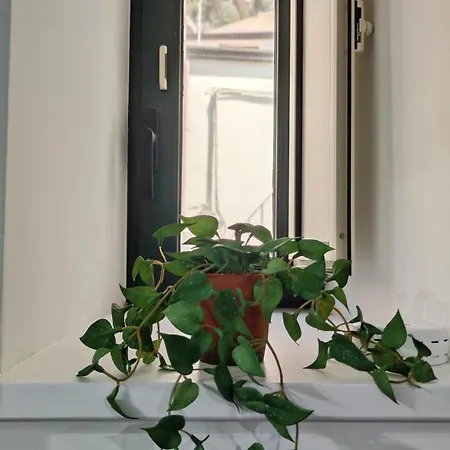 Da Nene Чефалу